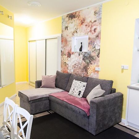 Apartament Przy Rynku Ostrowiec Świętokrzyski المظهر الخارجي الصورة